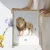 plakaty-zwierzeta-safari-po-angielsku-dla-dzieci-edukit-a3-lion.webp